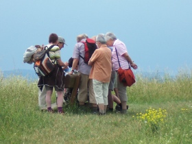 Auf der Neubürg