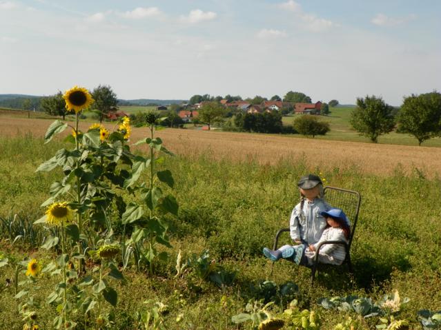 Aussichtspunkt Schweinsmühle